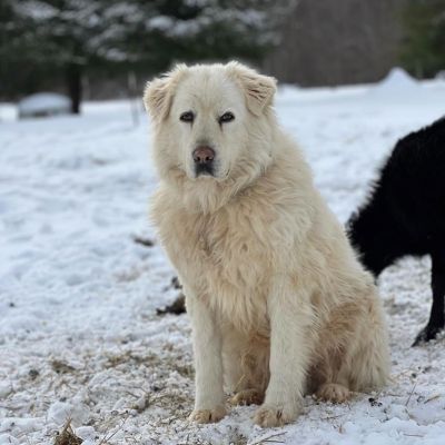 The beautiful Maremma.