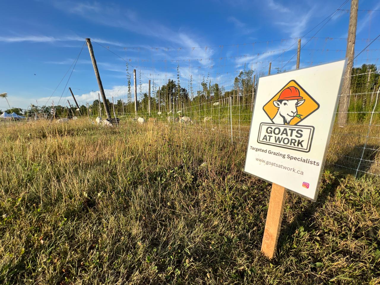 The Goats at Work sign on a post by a fence with short grass and blue sky.